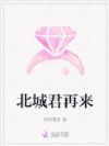 北城君再来