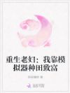 重生老妇:我靠模拟器种田致富