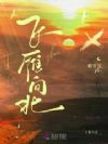 飞雁向北