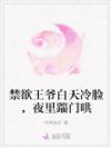 禁欲王爷白天冷脸,夜里踹门哄