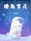 港岛雪夜