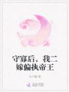 守寡后,我二嫁偏执帝王