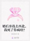 婚后弃我去西北,我死了你疯啥?