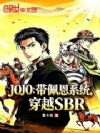 JOJO�������ϵͳ��ԽSBR