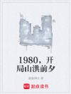 1980������ɽ��ǰϦ