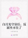 白月光守寡后,反派坐不住了