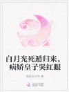 白月光死遁归来,病娇皇子哭红眼