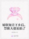 娇软知青下乡后,禁欲大佬沦陷了