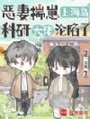 恶妻揣崽上海岛,科研大佬沦陷了