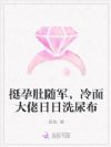 挺孕肚随军,冷面大佬日日洗尿布