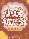 С�˲α����ţ�ȫ���췴��