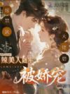 嫁禁欲大佬后,辣美人随军被娇宠