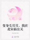 变身毛茸茸,我在北宋搞公关