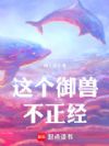 ������޲�������