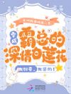 穿成深情白莲:我好爱,我装的!