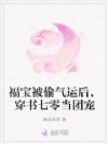 福宝被偷气运后,穿书七零当团宠