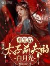 重生后我成了太子前夫的白月光