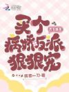农女换夫:买个病娇反派狠狠宠