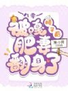 八零:被嘎腰子后肥妻翻身了