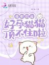 ������裺����èè����ס��
