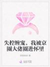 失控缠宠,我被京圈大佬圈进怀里