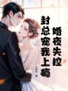 婚夜失控:封总宠我上瘾