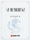 寻龙翎记