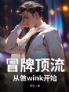 冒牌顶流!从做wink开始